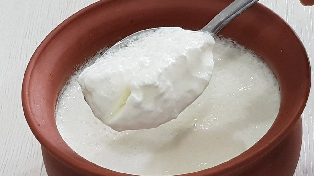 Why Spoons of Curd Can’t Beat a Capsule: The Case for Measured Probiotic Dosage