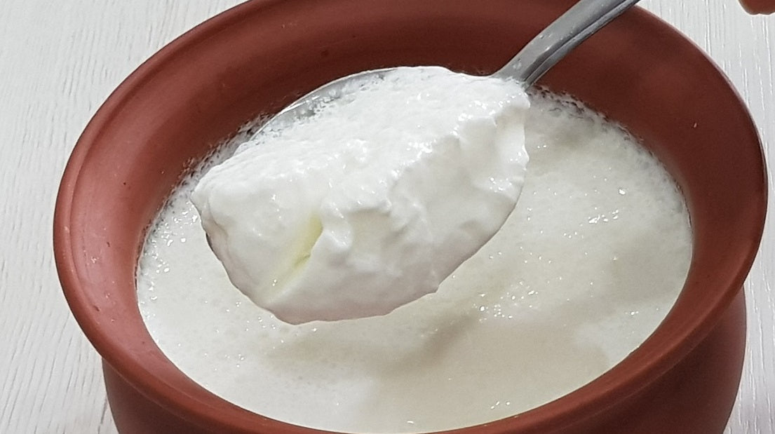 Why Spoons of Curd Can’t Beat a Capsule: The Case for Measured Probiotic Dosage