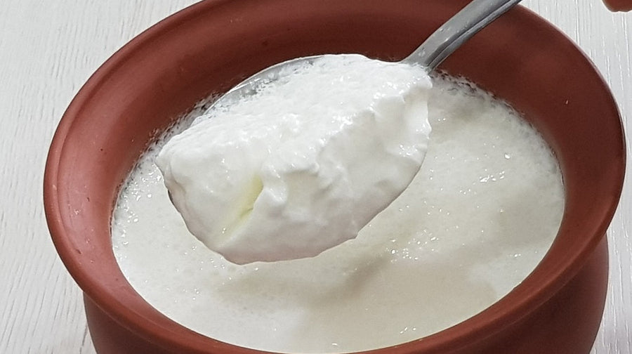 Why Spoons of Curd Can’t Beat a Capsule: The Case for Measured Probiotic Dosage